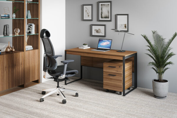 Linea Desk and Chair